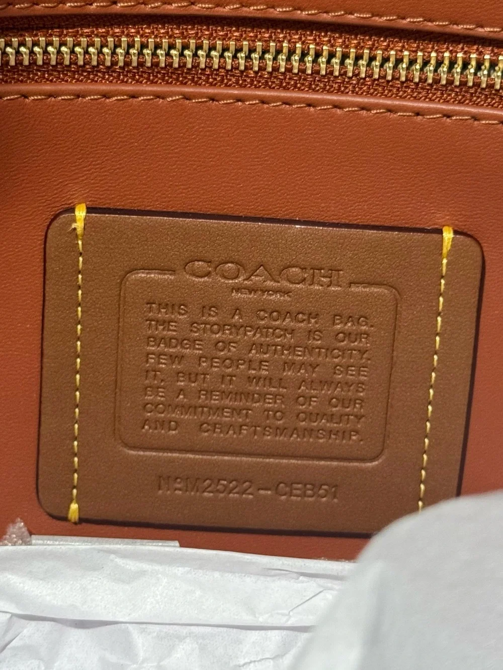 Coach Chelsea 36 in Suede Clay - NWT